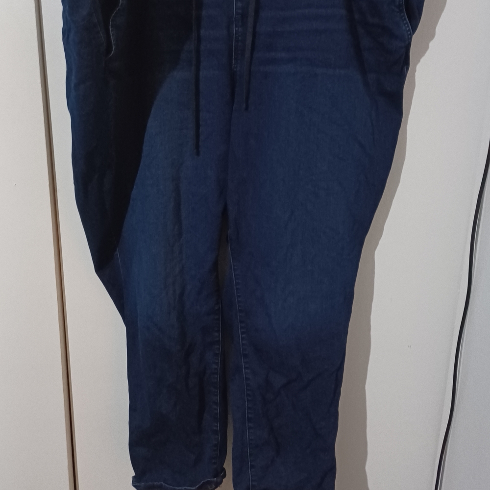 Torrid Dark Blue Jeans